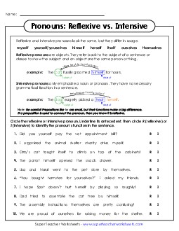New Reflexive vs. Intensive Pronouns Worksheet