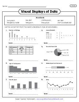 Identifying Types of Data Displays Graphing Worksheet