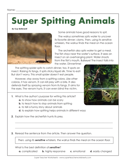 New Super Spitting Animals (Short, Nonfiction) Worksheet