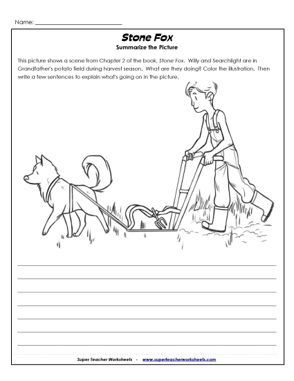 Chapter 2: Picture Summary Books Worksheet