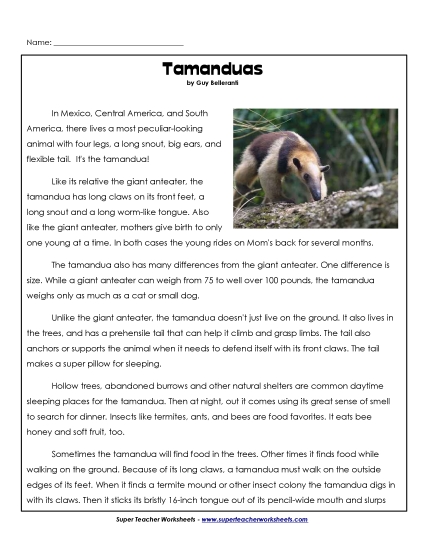 Preview image for Tamanduas