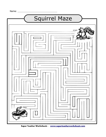 Preview image for Squirrel Maze