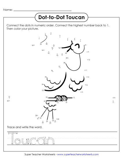 New Count to 50 & Write: Toucan Worksheet New Count to 50 & Write: Toucan Worksheet
