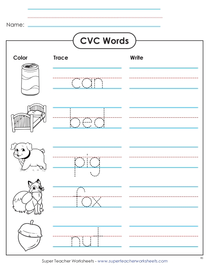 New Trace & Write: CVC Words Worksheet