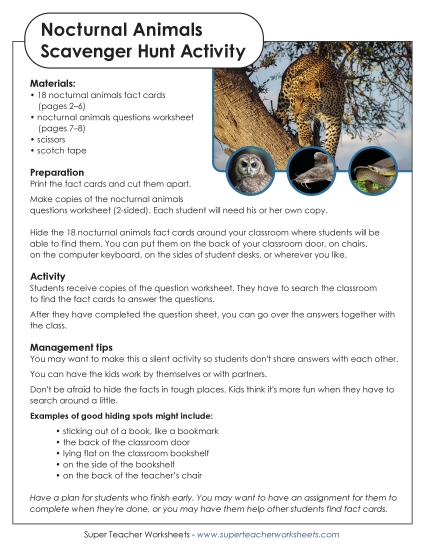 New Nocturnal Animals Scavenger Hunt Worksheet New Nocturnal Animals Scavenger Hunt Worksheet