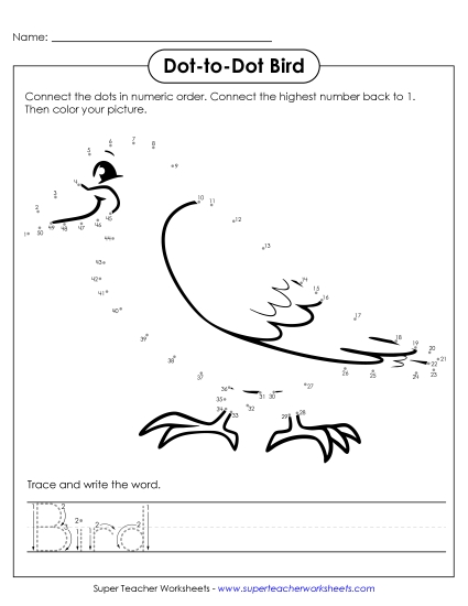 New Count to 50 & Write: Bird Worksheet New Count to 50 & Write: Bird Worksheet