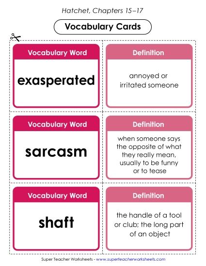 New Vocabulary Cards (Chapters 15–17) Worksheet