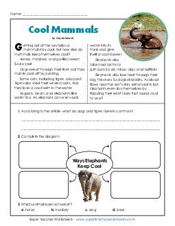 New Cool Mammals (Short, Nonfiction) Worksheet