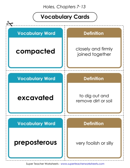 Vocabulary Cards for Chapters 7-13 Book Holes Worksheet