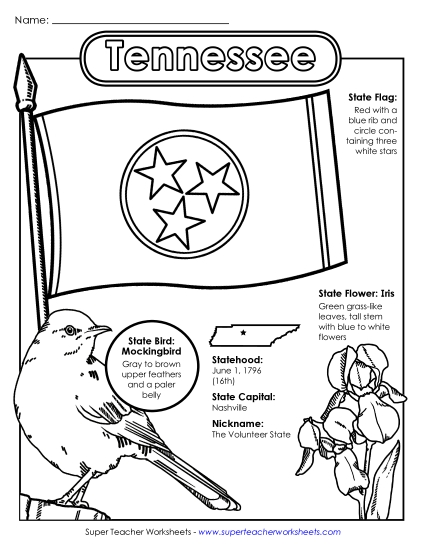 Tennessee State Symbols Coloring Page Free States Individual Worksheet