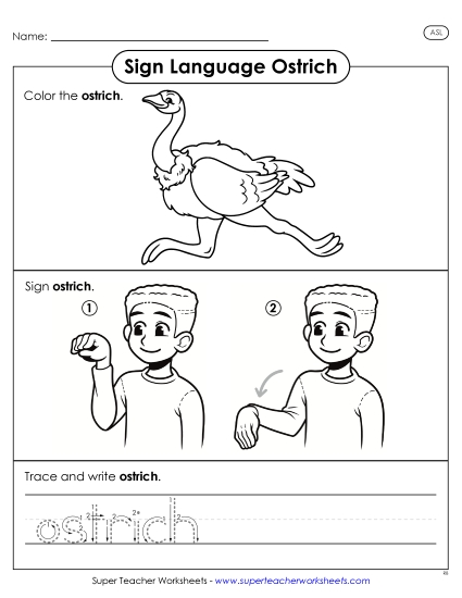 New Ostrich Worksheet