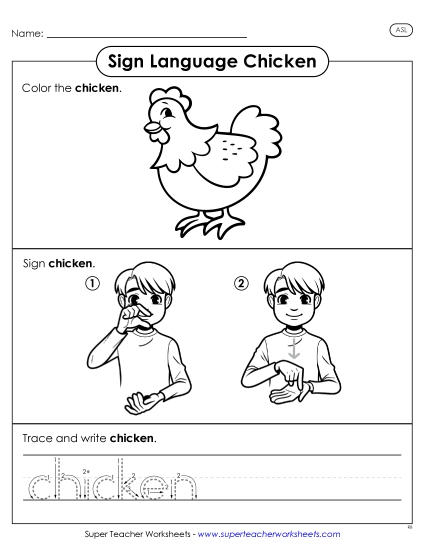 New Chicken Worksheet