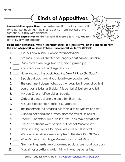 Identifying Kinds of Appositives Worksheet