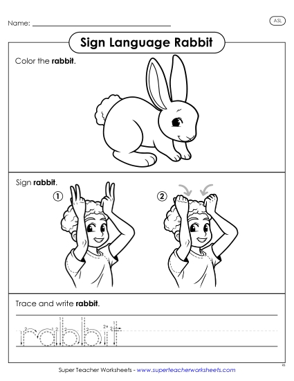 New Rabbit Worksheet
