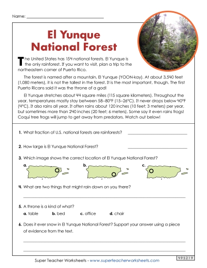 El Yunque National Forest (Short Article) 3rd Grade Reading Comprehension Reading Comp Short Worksheet
