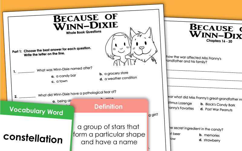 Because Of Winn Dixie Worksheets Because Of Winn Dixie Worksheets