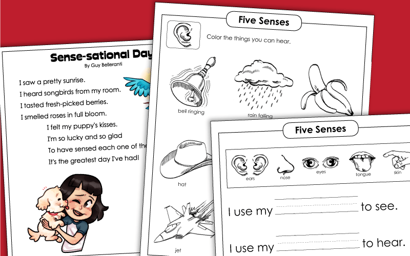 Five Senses Worksheets