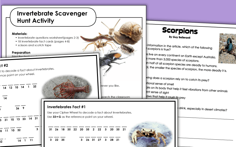 Invertebrates Worksheets Invertebrates Worksheets
