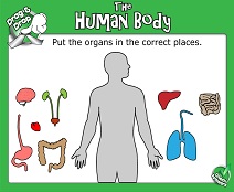 SMART Board Science Lessons SMART Board Science Lessons