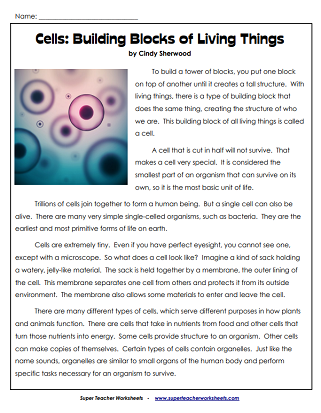 Reading Comprehension Articles - Cells