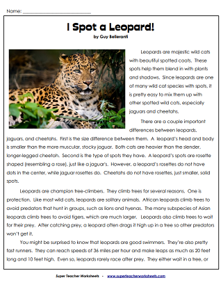 Reading Comprehension Articles - Leopards