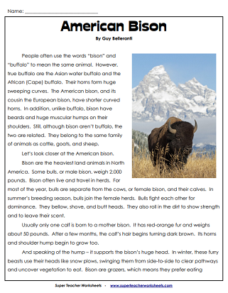 Animal Articles - Reading Comprehension - American Bison