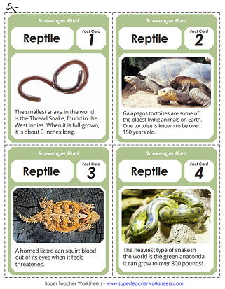 Animal Worksheets - Reptile Scavenger Hunt