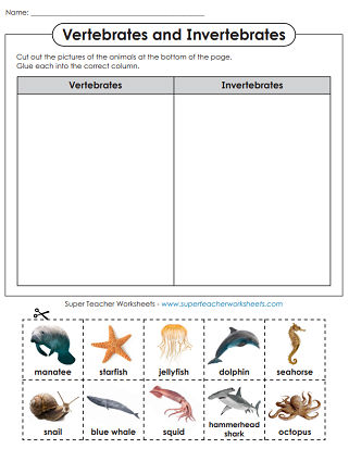 Animal Worksheets - Vertebrates and Invertebrates