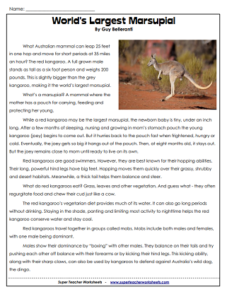 Australia - Reading Comprehension - Kangaroos