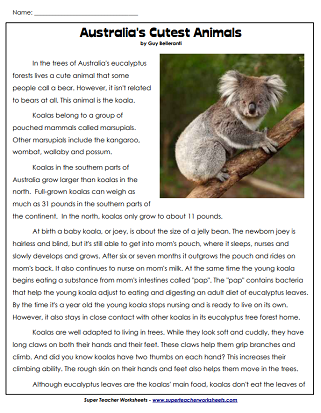 Australia Reading Comprehension - Koalas