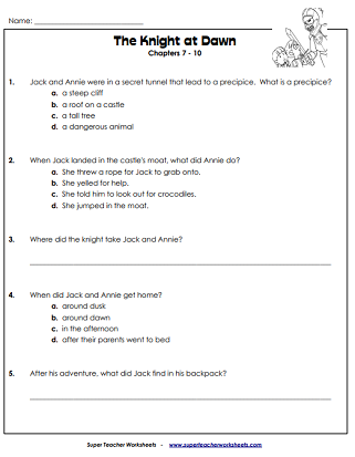 Chapter Book - Unit Question Worksheets
