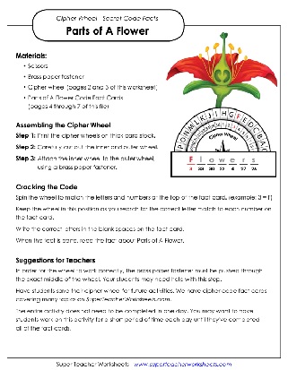 Parts of a flower cipher wheel secret code worksheet