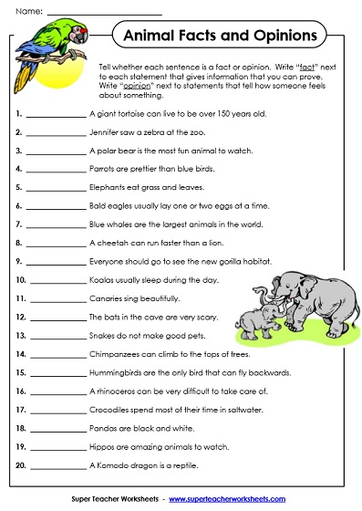 Fact and Opinion Worksheets