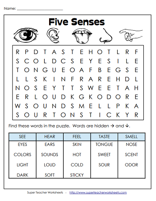 Five Senses Worksheets - Puzzles and Activities