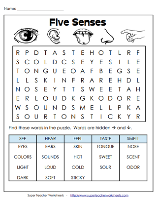 Five Senses (See, Hear, Touch, Smell, Taste)