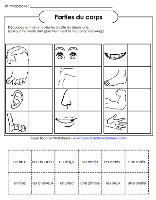 French Worksheets - Body Parts - Cut and Glue