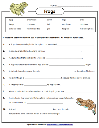 Frog Life Cycle Worksheets