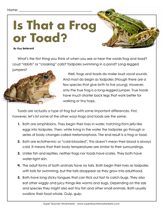 Frog Life Cycle Reading Comprehension