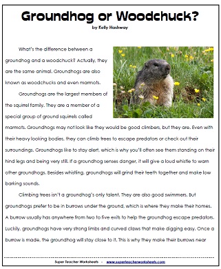 Groundhog Day Worksheets