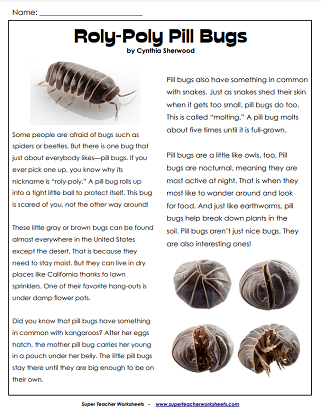 Invertebrates Worksheets - Reading Comprehension