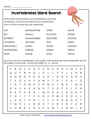 Invertebrate Worksheet Essentials: A Comprehensive Guide to Learning
