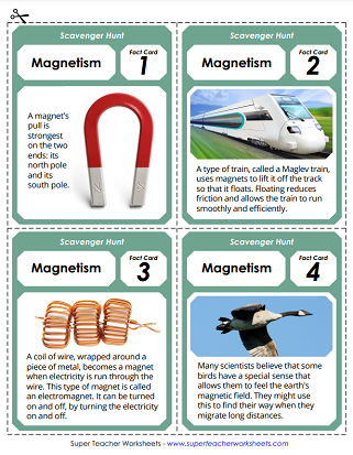 Magnetism Worksheets and Activities - Scavenger Hunt