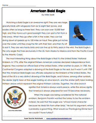 Patriotic Symbols Worksheets - Bald Eagle