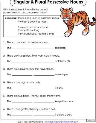 Possessive Noun Worksheets