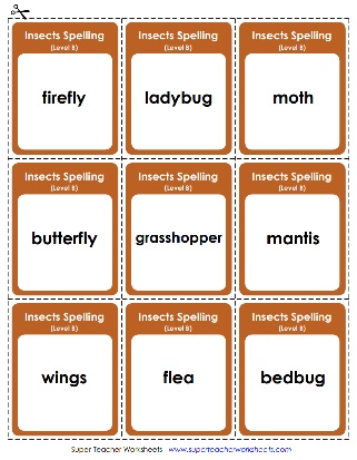 2nd Grade Spelling - Insect Word List