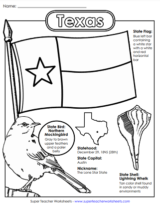 Texas Worksheets - State Symbols