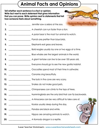 Fact or Opinion Worksheets
